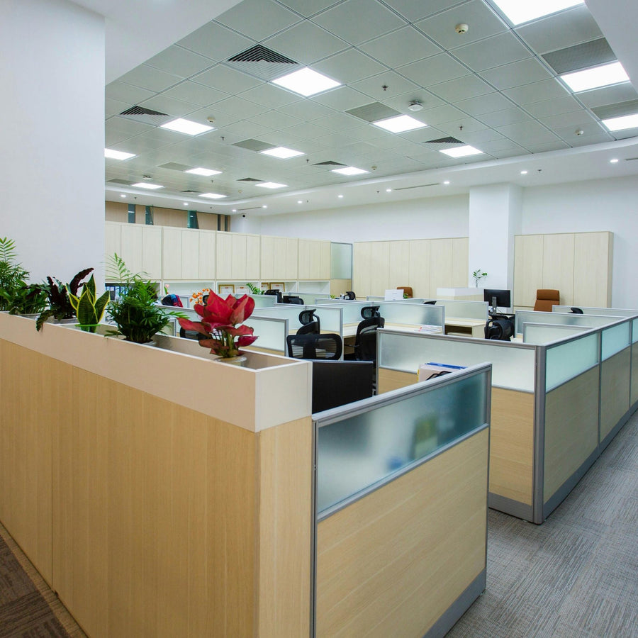 Corporativo